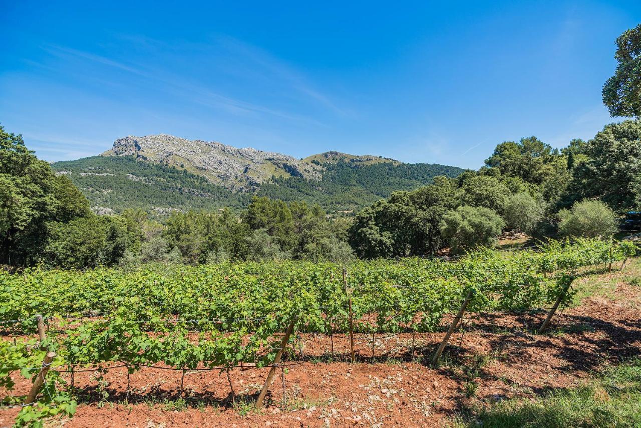 Vila Picassa Pollença Exteriér fotografie