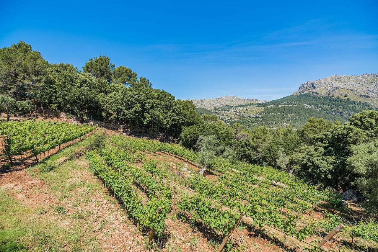 Vila Picassa Pollença Exteriér fotografie